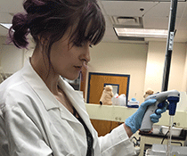 Angelica Cave working in her biology lab at NMT